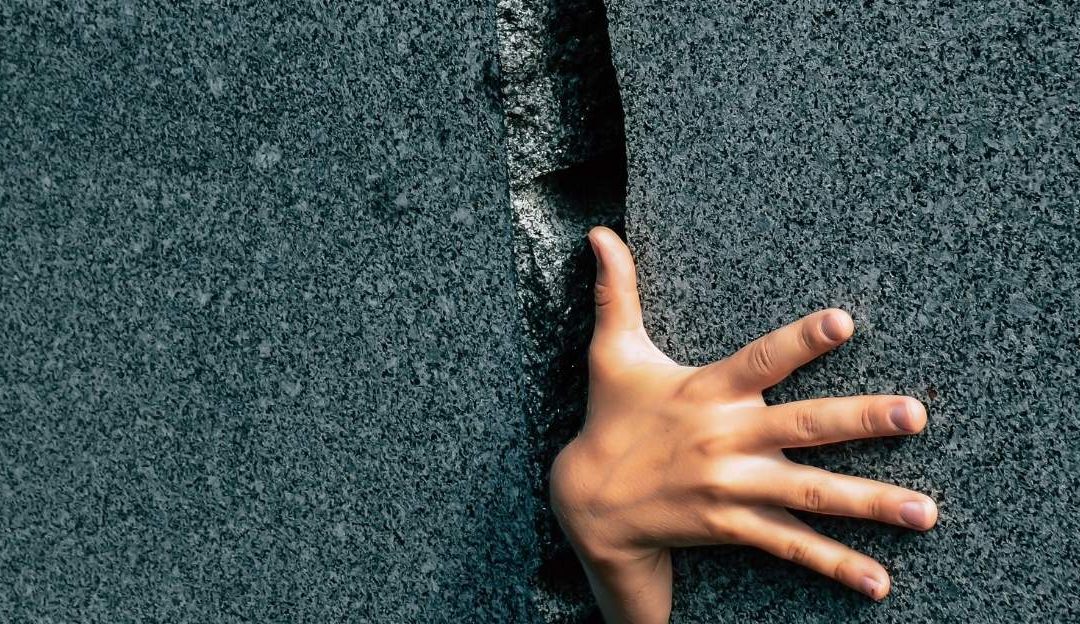 Zašto nas mozak blokira: Put od preživljavanja do promene