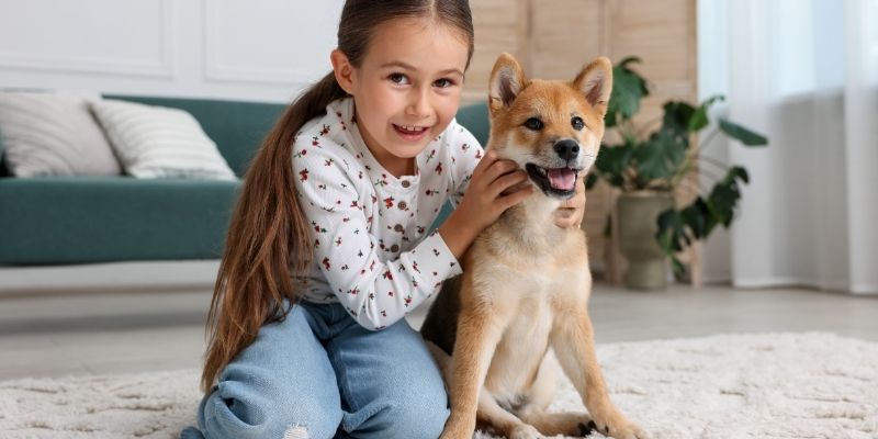 Pas koji stoji na ravnoj površini sa pravilno skraćenim noktima koji ne dodiruju tlo.