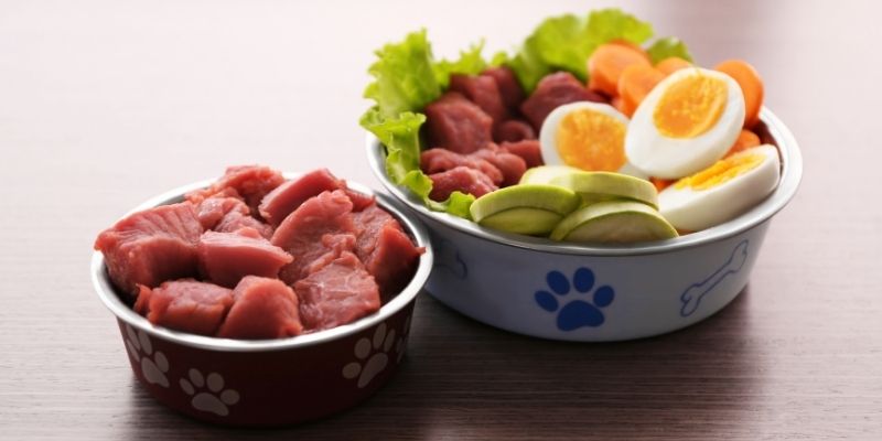 Svesno vlasništvo i priprema žive hrane koja psu daje snagu da se izbori sa modernim izazovima.