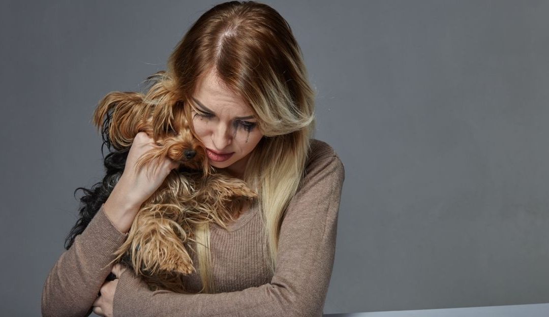 Psihologija psa koja pokazuje kako stres i negativne emocije vlasnika utiču na zdravlje.