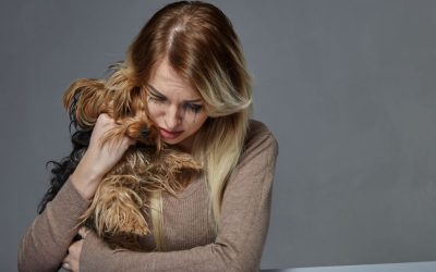 Kada su naši psi ogledalo naše podsvesti: Zašto se naši psi razboljevaju?