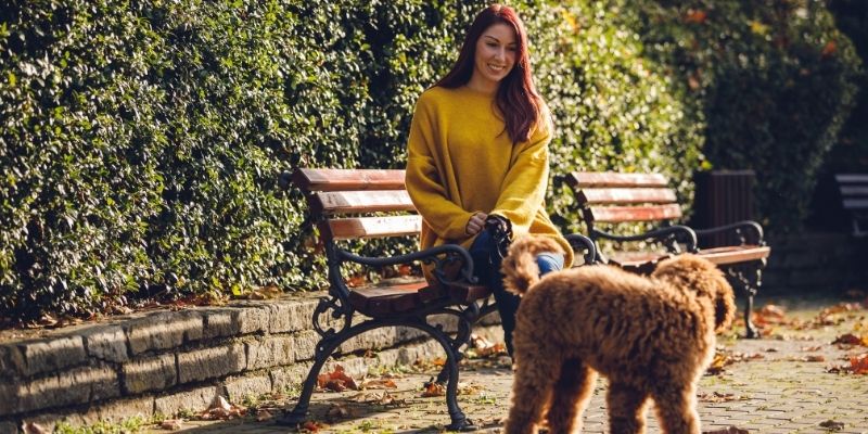 Vlasnik u miru sa psom, dokaz da je svesnost i energetska usklađenost važnija nego zdrava hrana za pse.