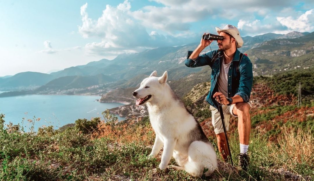 Život sa psom u prirodi kao podsetnik na snagu koju nosimo u sebi.
