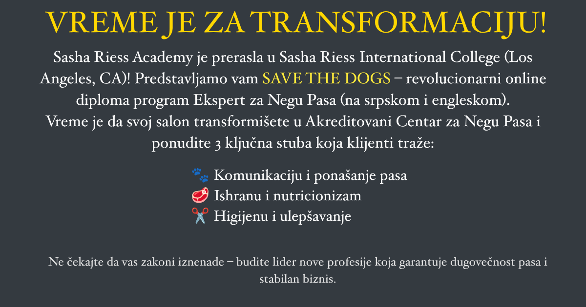 Sasha Riess International College - SAVE THE DOGS online diploma program Ekspert za Negu Pasa