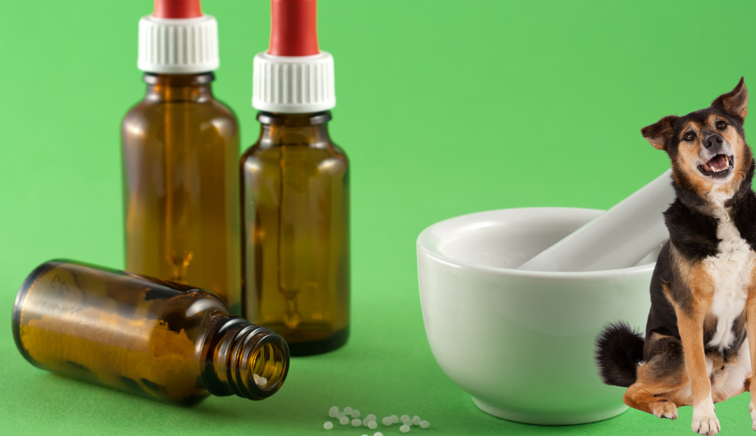 Prikaz homeopatskih kapi i kuglica koji objašnjava kako radi homeopatija kroz prirodne frekvencije.
