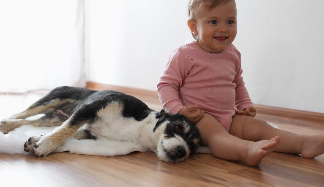 Kako pametna deca i psi pronalaze zajednički jezik i komuniciraju bez pritiska.