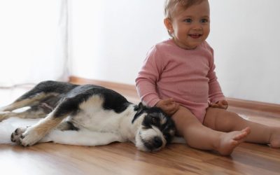 Da li kuca može da zameni roditelja u komunikaciji?