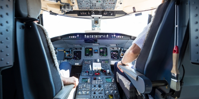 Pilotska kabina kao metafora za vođstvo i rešavanje problema kao što je agresivnost kod pasa.