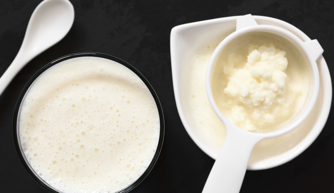 Kako prirodni kefir za pse i dobre bakterije poboljšavaju probavu i zdravlje creva.
