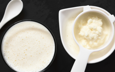 Prirodni probiotik: Zašto je kefir za pse najbolji dodatak za zdravu probavu?