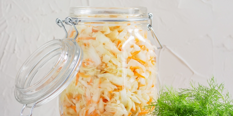 Fermentisano povrće za jak imunitet i zdravlje pasa