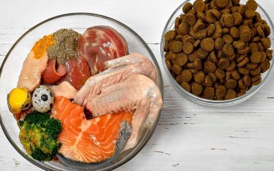Rat za pseću hranu: Marketinške iluzije koje oblikuju industriju