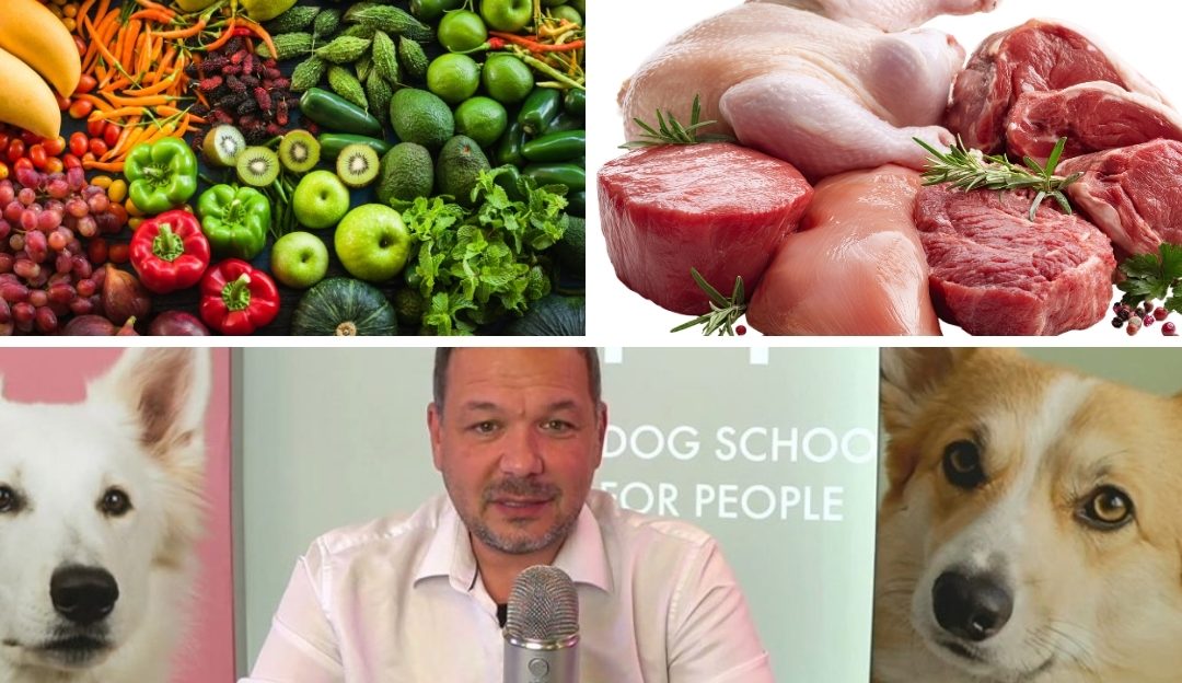 Kako pravilno izabrati suplemente za pse koji podstiču prirodno varenje