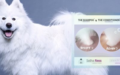 Pure Love & Harmony: Šampon i regenerator za pse za sjajno i negovano krzno